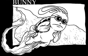 One hare, against all odds...